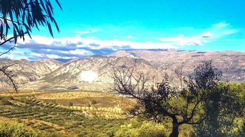 Foto 5 de Finca rústica en venda a Albuñuelas, Granada