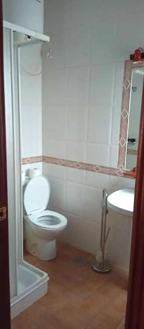 Local commercial à vendre à ANDALUCIA, imagen 29