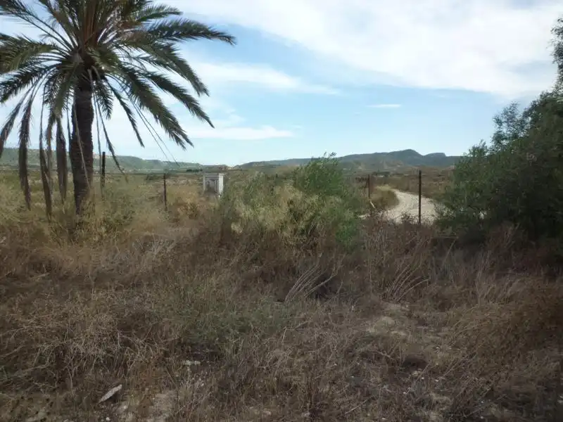 Terreno rustico in vendita a CV-925 24, imagen 18