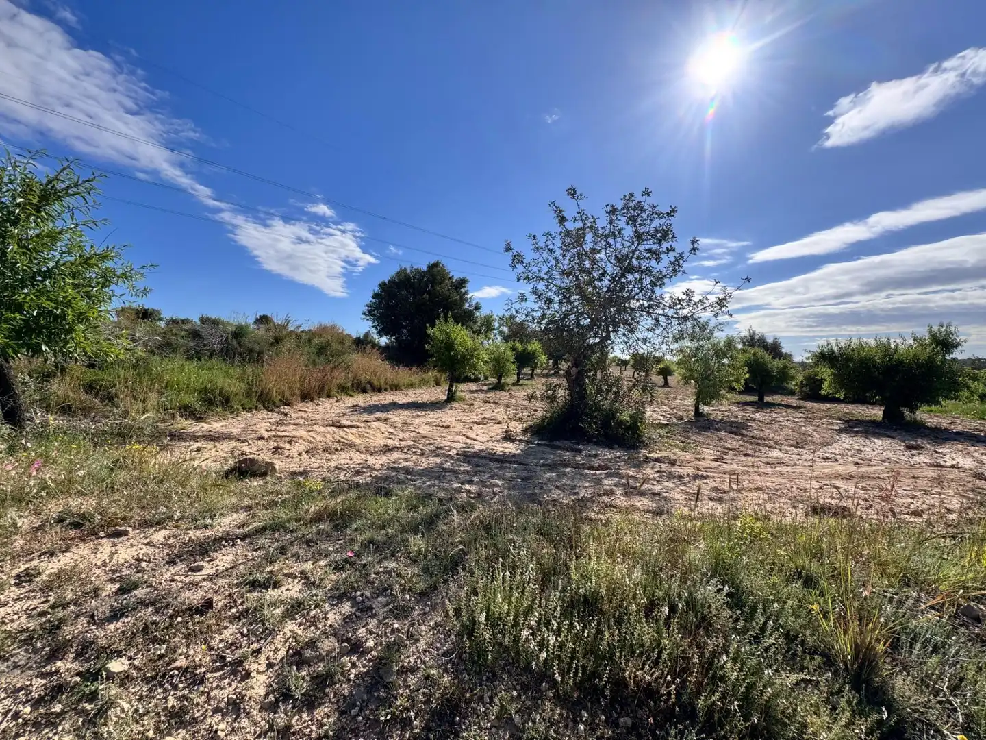 Land for sale in Polígono 26 Parcela 21 CASA BLANCA-BARBETA. TORRE, 26, Poligono Mas del Jutge