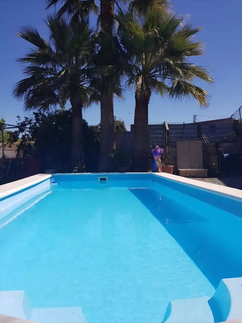 Swimming pool of Houses for sale in Coín  with Private garden, Terrace and Swimming Pool