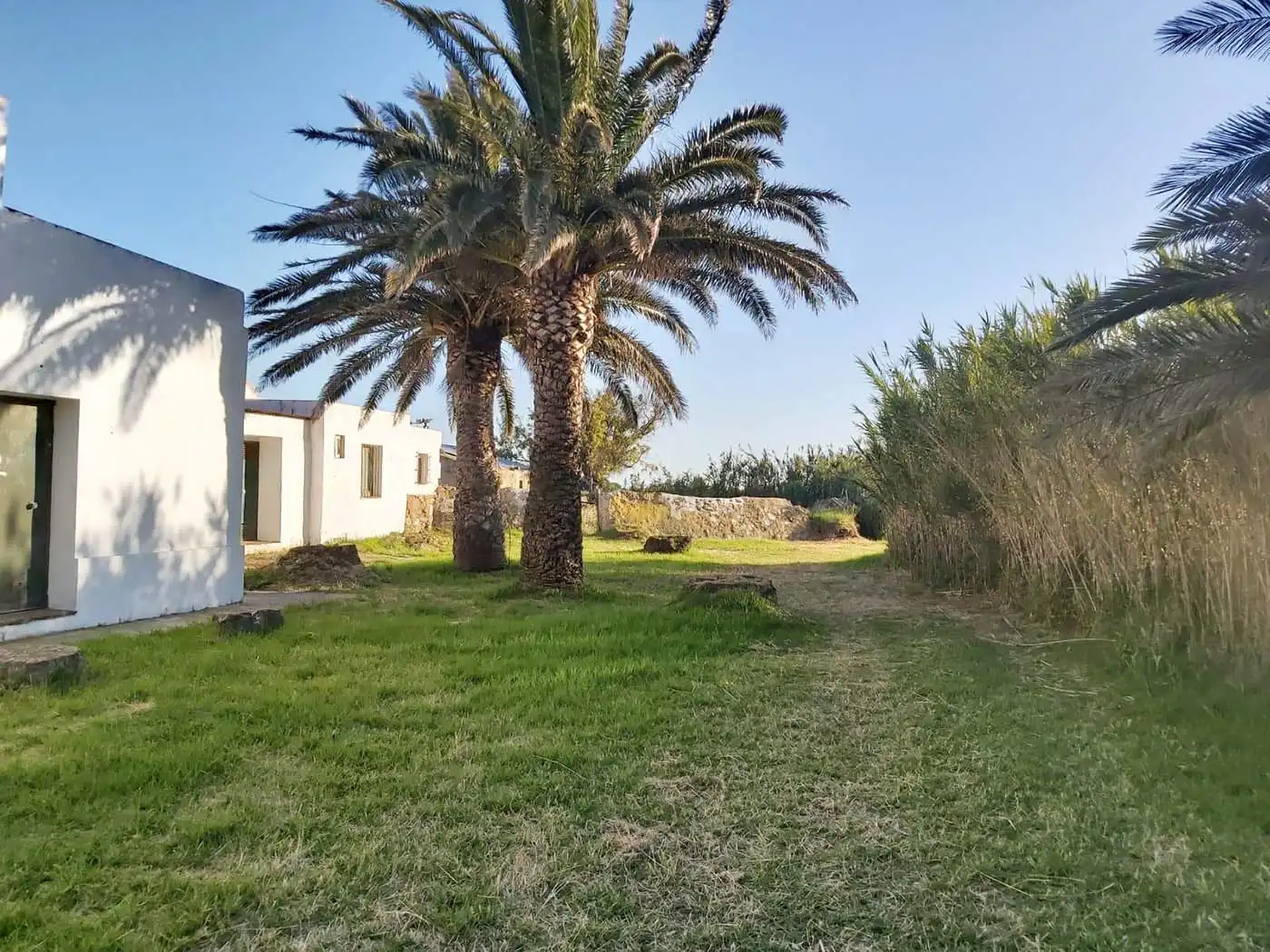 Terreno rustico in vendita a Tarifa ciudad, imagen 2