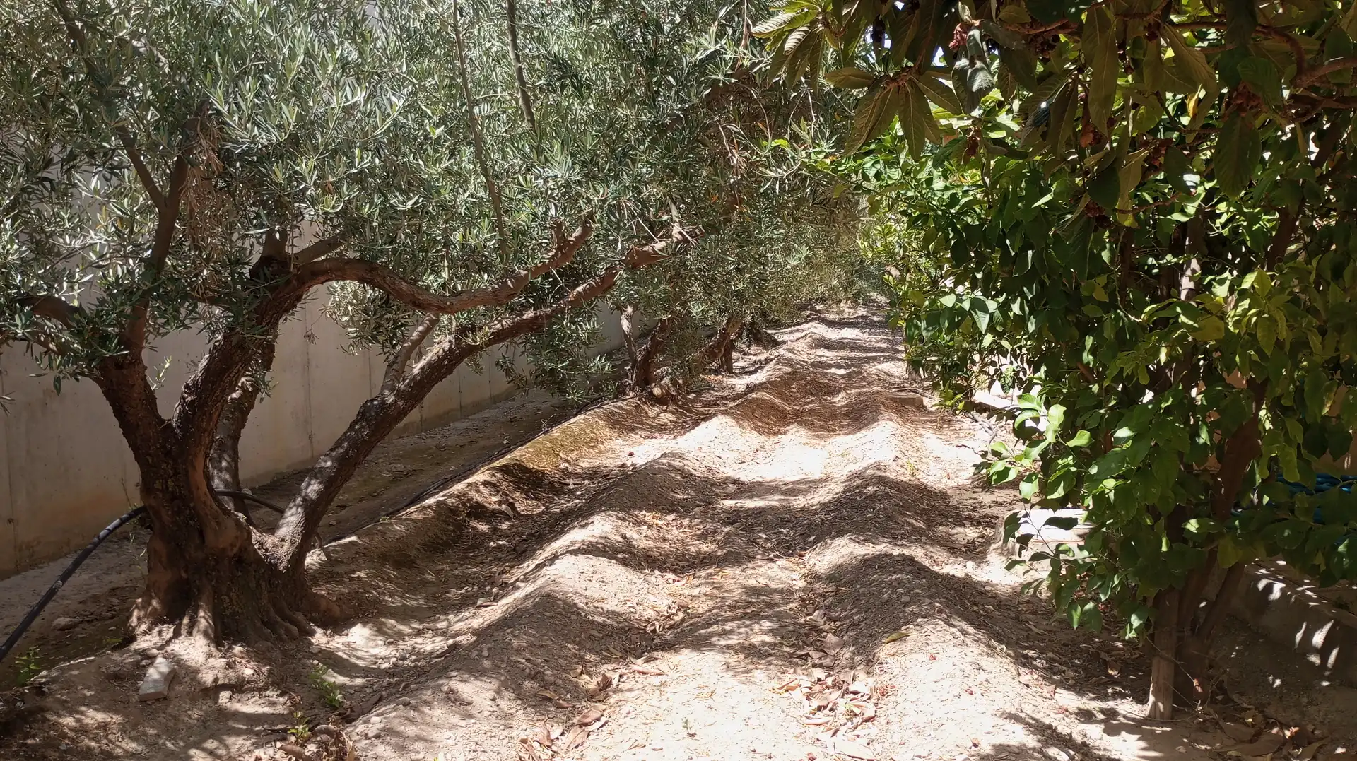 Jardí de Casa o xalet en venda en Baza amb Moblat