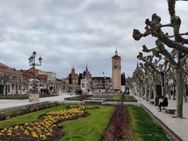Local comercial en venta en Calle VALLADOLID