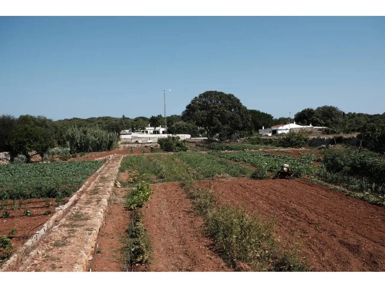Jardín de Finca rústica en venta en Ciutadella de Menorca con Jardín privado y Piscina