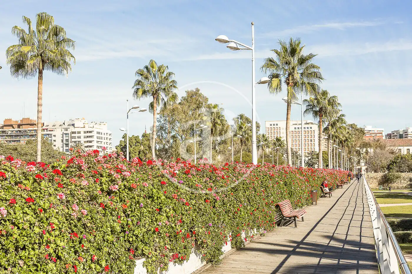 Pis en venda a Carrer de Pere Aleixandre, Mont-Olivet