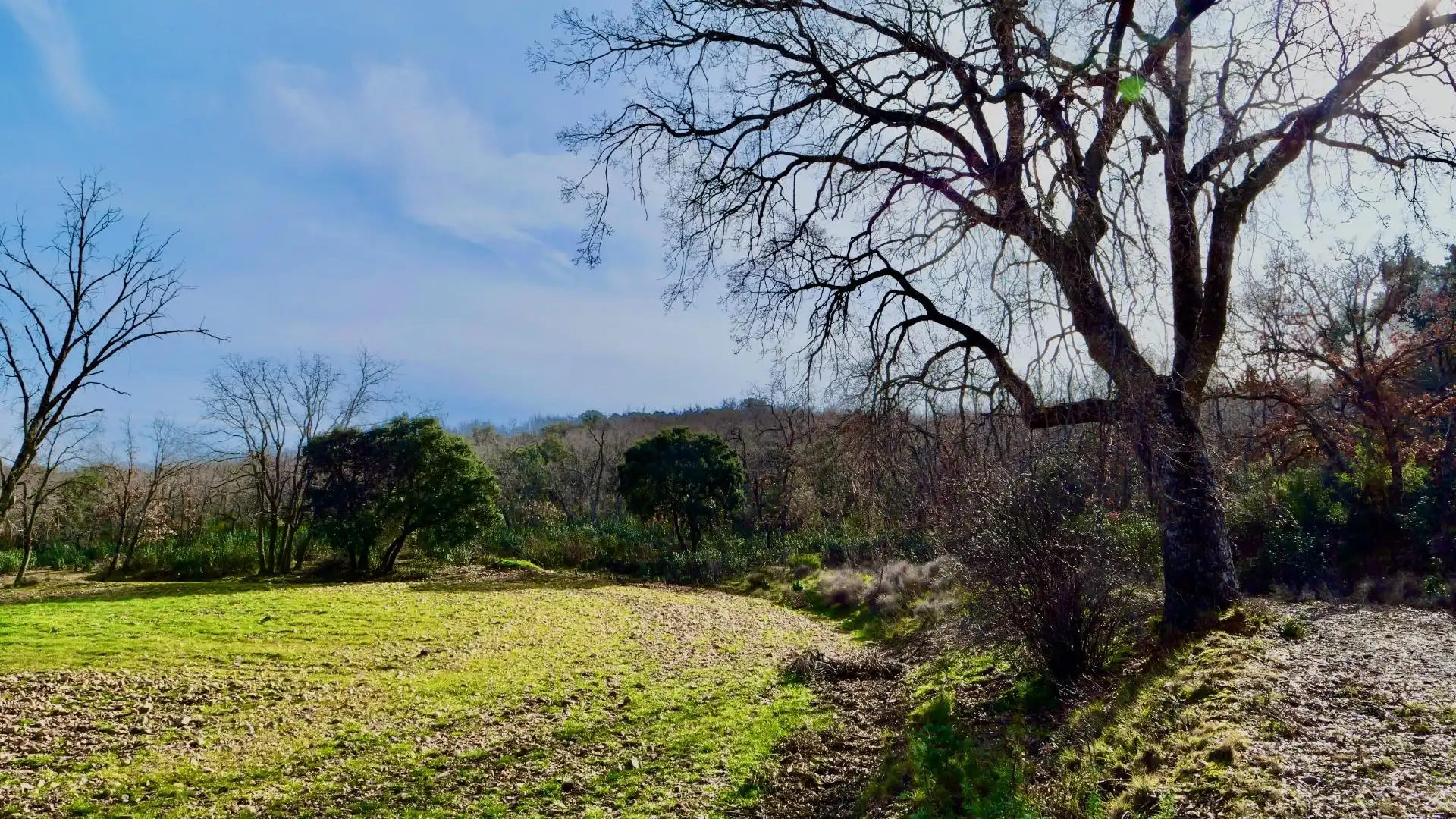 Land for sale in Arbancón