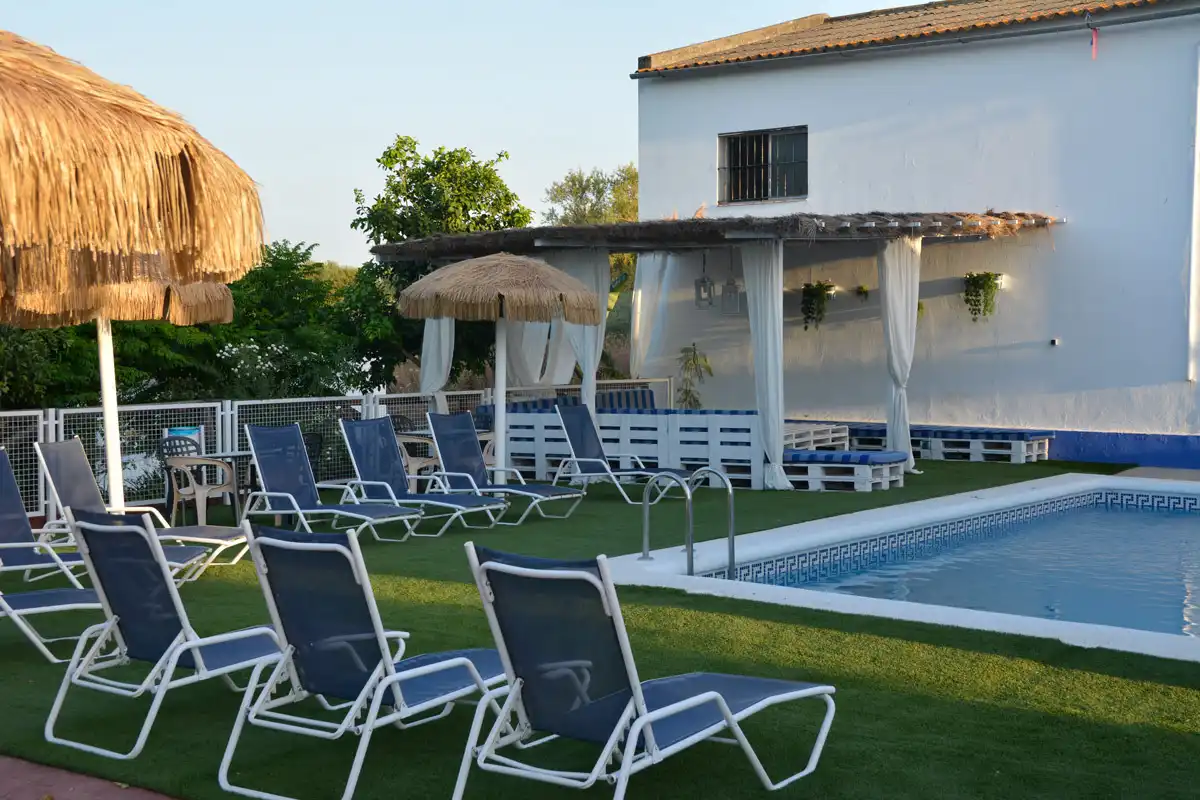 Swimming pool of Houses for rent in El Bosque  with Air Conditioner, Private garden and Terrace