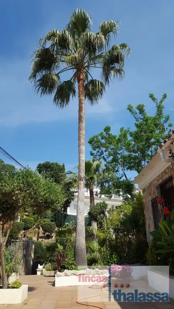 Casa con piscina in vendita a Condado del Jaruco - Puigventós