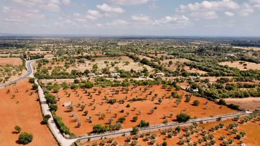 Terreno rustico in vendita a Llucmajor pueblo, imagen 3