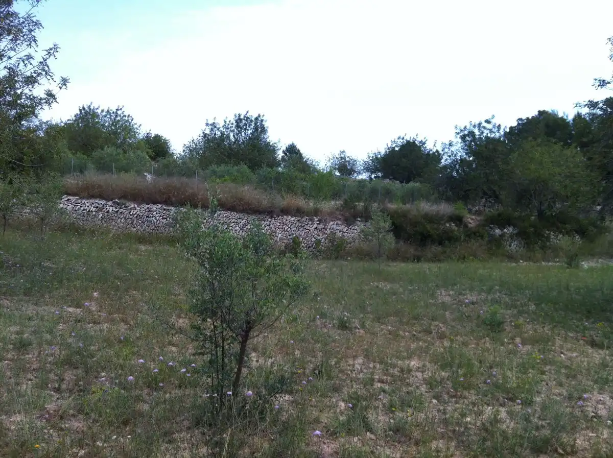 Terrenys i solars en venda a CASTELL DE MONTORNES 1, imagen 5