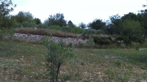 Foto 5 de Residencial en venda a Castell de Montornes, 1, La Pobla de Montornès  , Tarragona