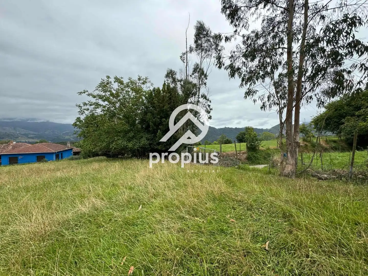 Rural land for sale in Arenas, imagen 27
