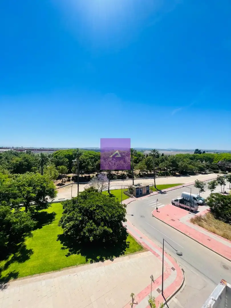 Vista exterior de Piso en venta en Albal con Terraza, Trastero y Piscina comunitaria