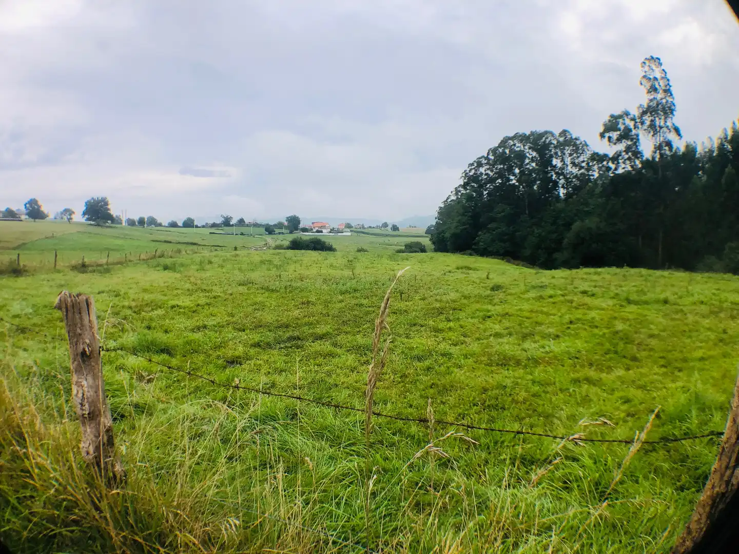 Grundstücke zum Verkauf in Piélagos