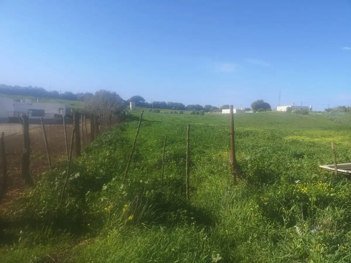 Rural land for sale in La Muela, imagen 4