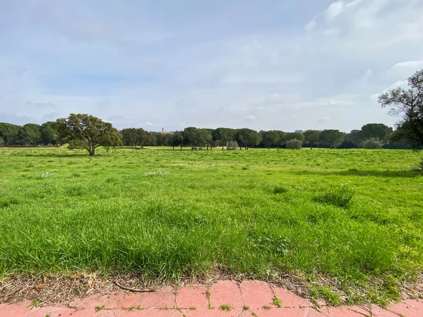 Terrenys i solars en venda a Peralada, imagen 7