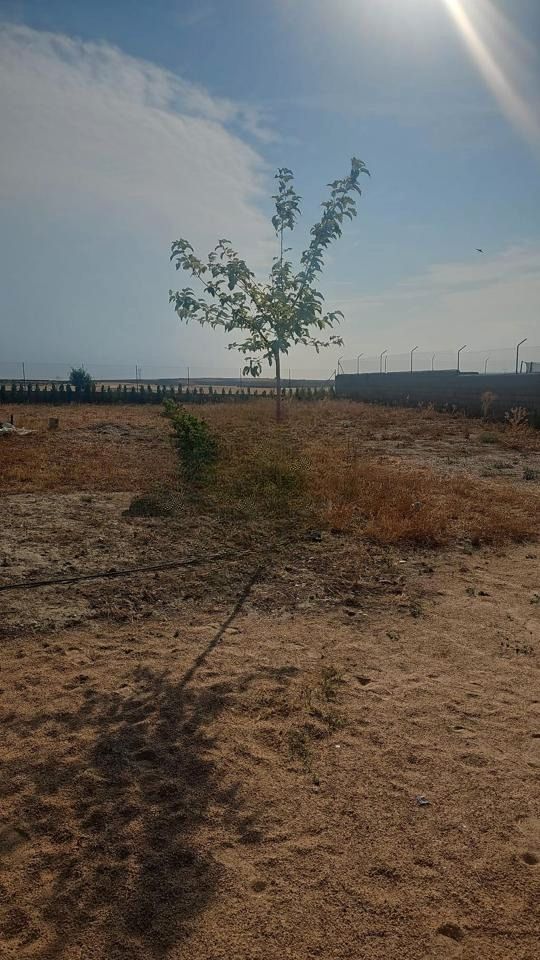 Casa o xalet en venda en Fuentidueña de Tajo amb Aire condicionat, Jardí privat i Moblat