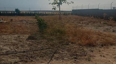 Foto 3 de Casa o xalet en venda a Calle Doce, Fuentidueña de Tajo, Madrid