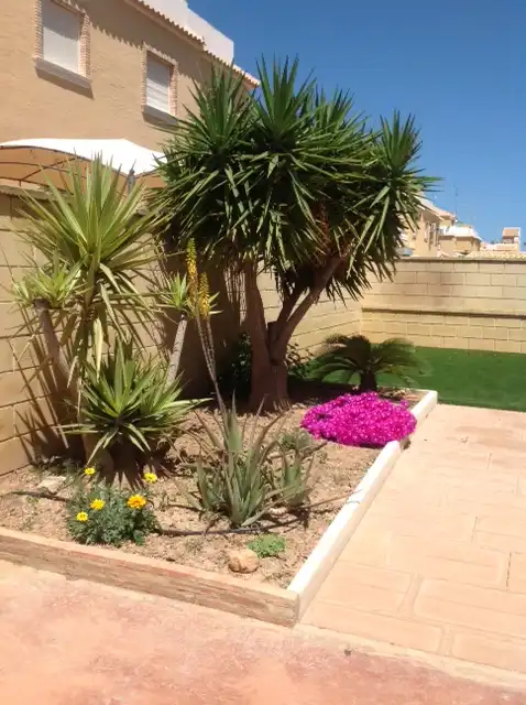 Jardí de Casa adosada en venda en Rojales amb Aire condicionat, Calefacció i Jardí privat