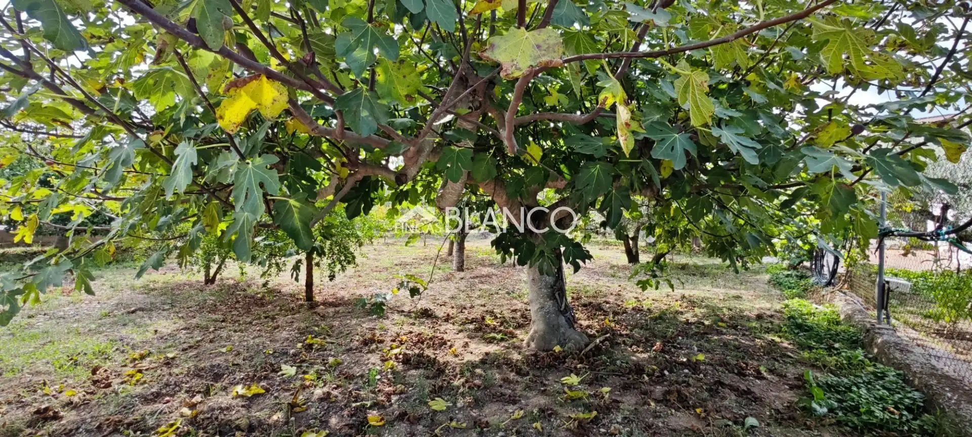 Terreno residencial en venta en Piera, imagen 5