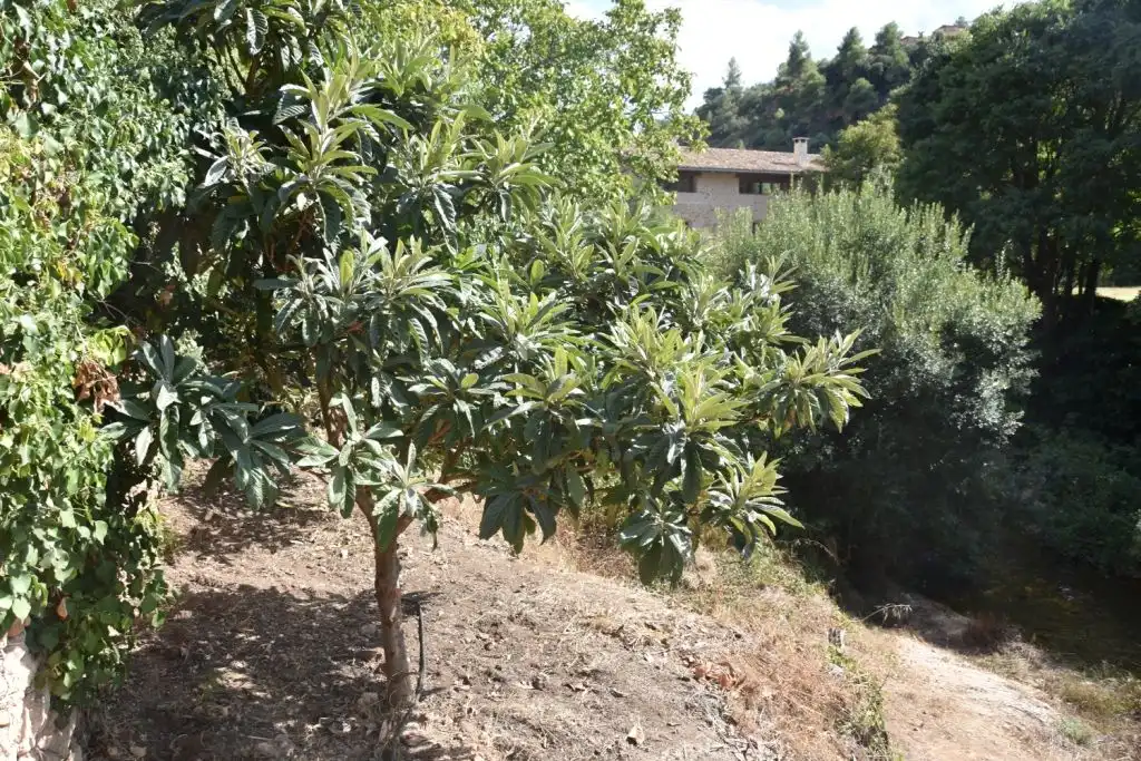Terreni e lotti in vendita a Beceite, imagen 10