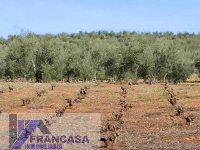 Finca rústica en Venta en Carretera de Sevilla - Los Montitos