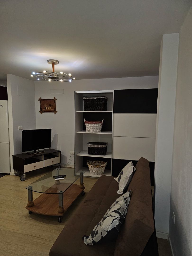 Living room of Flat for sale in Alicante / Alacant  with Furnished and Community pool
