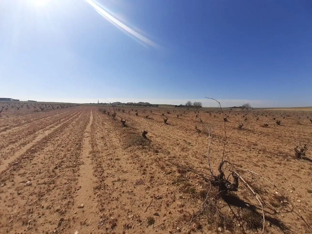 Terreno en venta en Moraleja del Vino