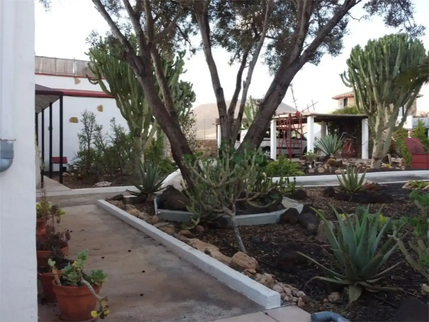 Jardí de Finca rústica en venda en Antigua amb Jardí privat, Traster i Piscina