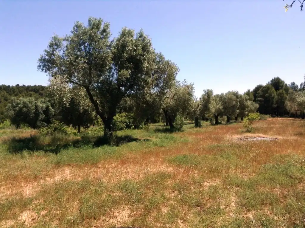 Terreni e lotti in vendita a Arens de Lledó, imagen 3