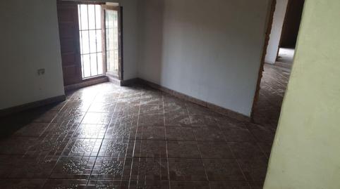 Photo 4 of Land for sale in Isla de la Cobatilla y el Villar, Herrera, Sevilla