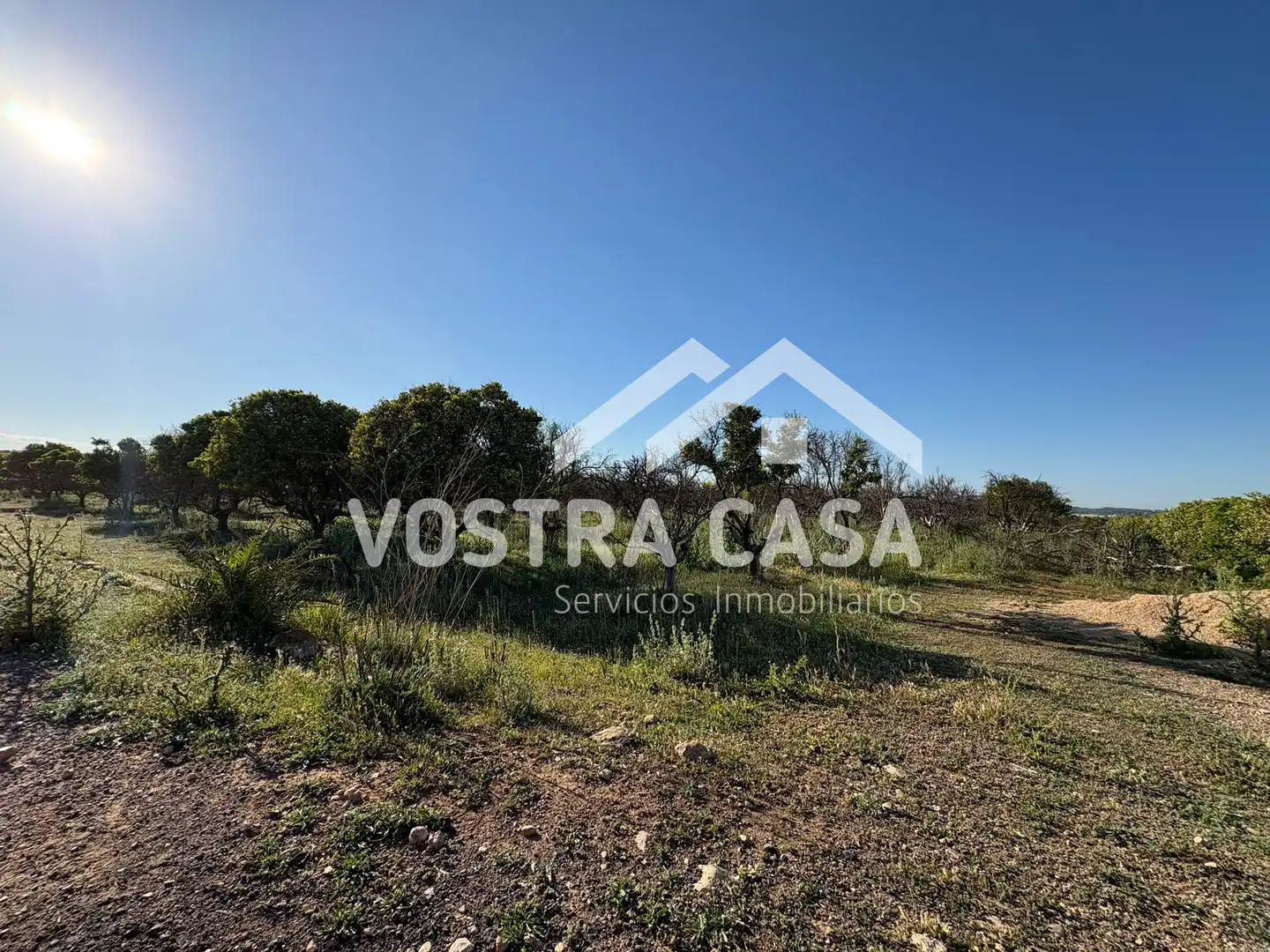 Land for sale in Chiva