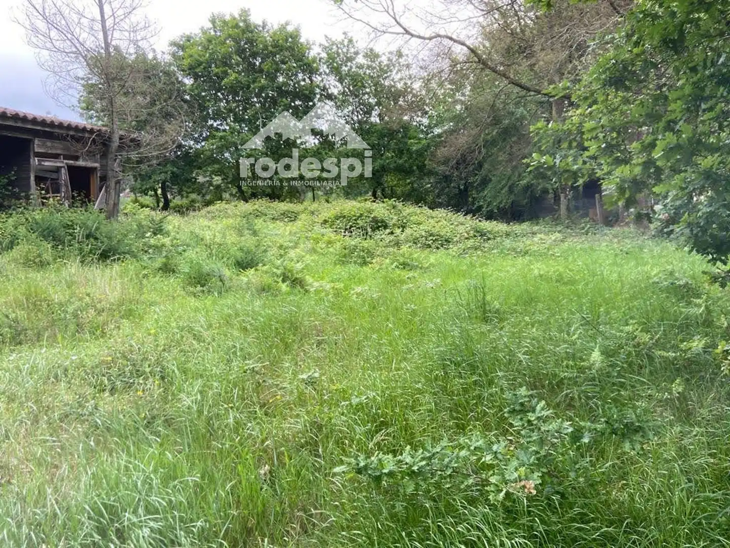 Rural land for sale in Covelo, imagen 13