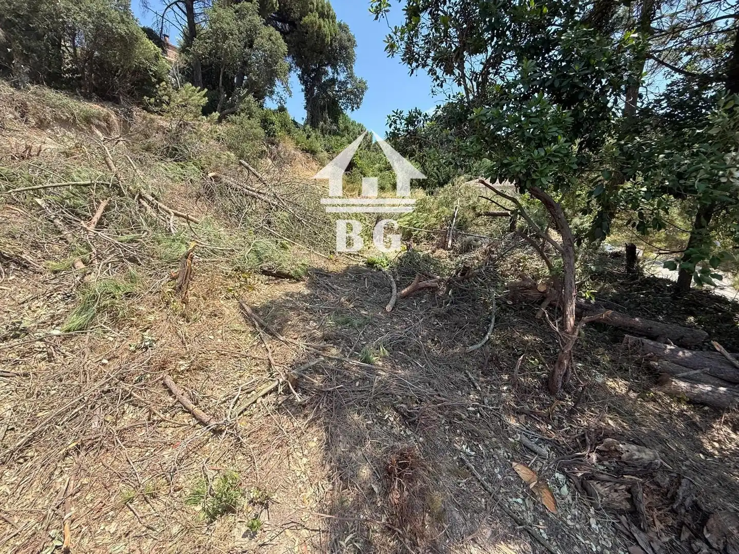 Terreno rústico en venta en Figuera, imagen 3
