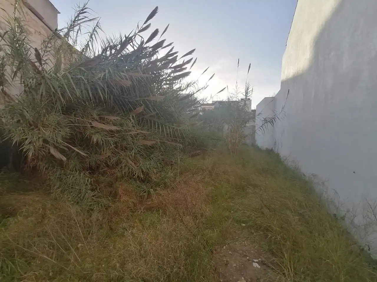 Terreny residencial en venda a Carrer de sa Gerreria, imagen 5