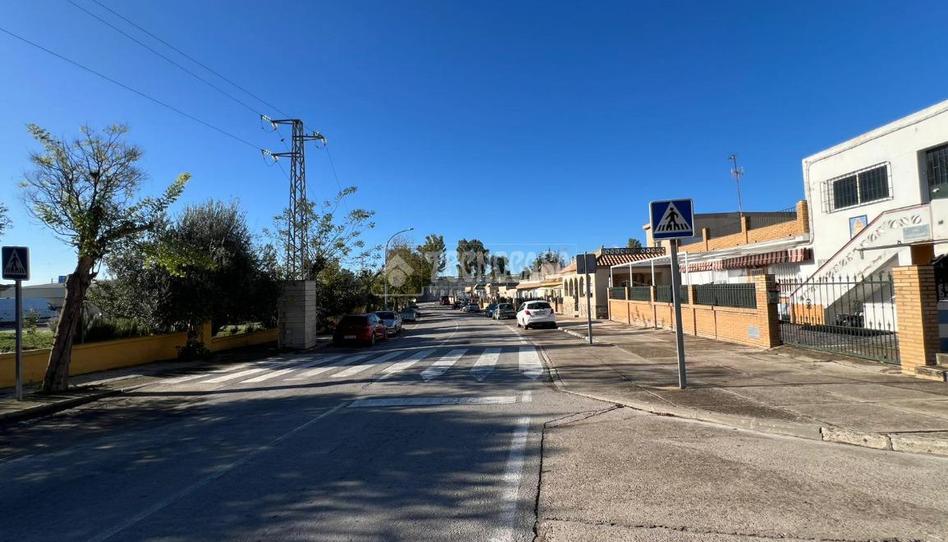 Foto 1 de Finca rústica en venda a Parque Atlántico - Ronda este, Cádiz