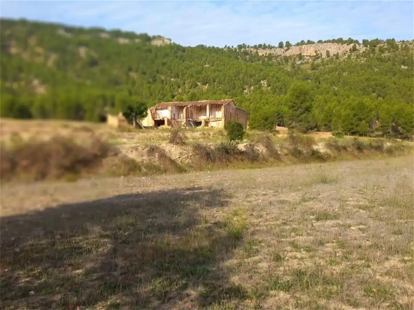 Terreno en venta en Letur