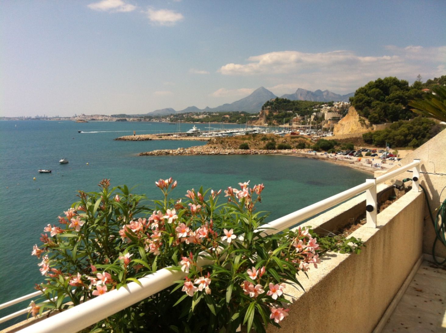 Exterior view of Apartment to rent in Altea  with Terrace, Swimming Pool and Furnished