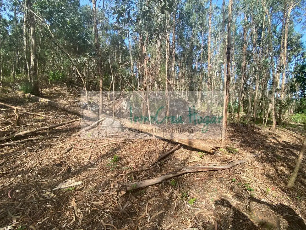 Terreny rústic en venda a Salvaterra de Miño, imagen 12