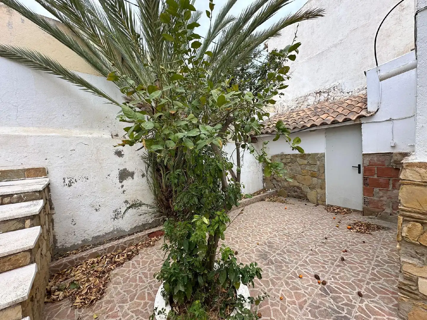 Garden of Houses for sale in Arboleas