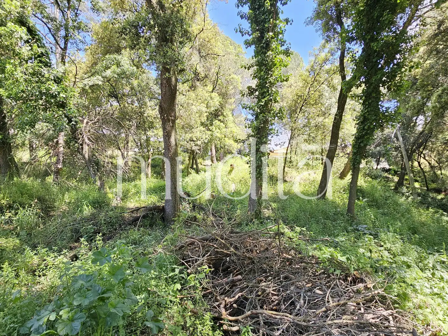 Residential land for sale in Sant Pere de Vilamajor, imagen 11