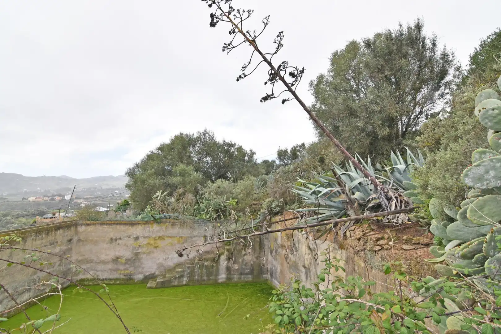 Finca rústica en venta en Camino PINO SANTO BAJO, 2, Portada Verde - Lomo Espino - Guanche