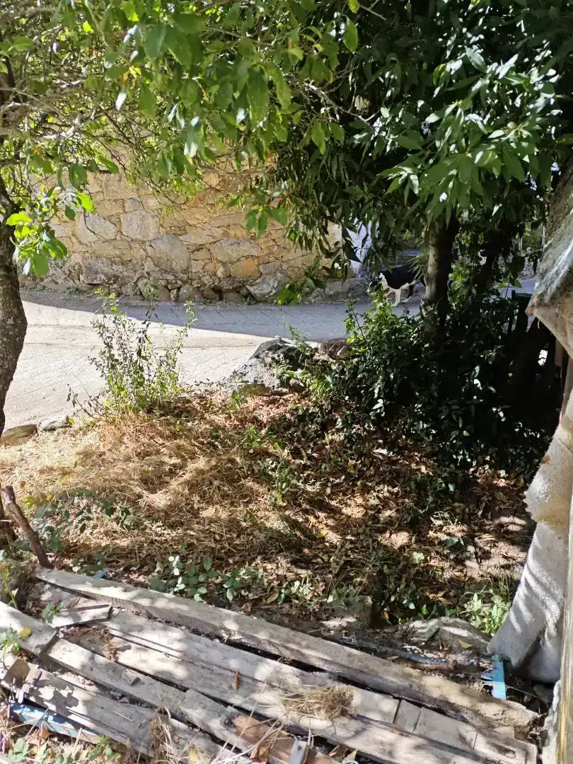Casa adosada en venda en Galende amb Jardí privat