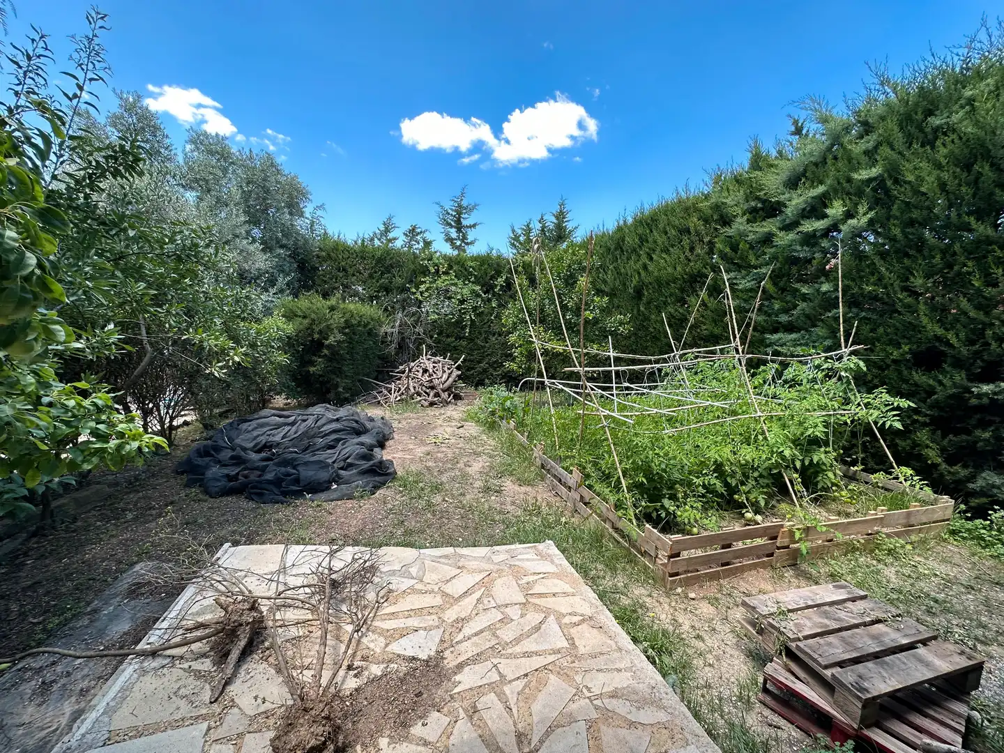 Houses for sale in Urbanizacion Armijo, Baeza