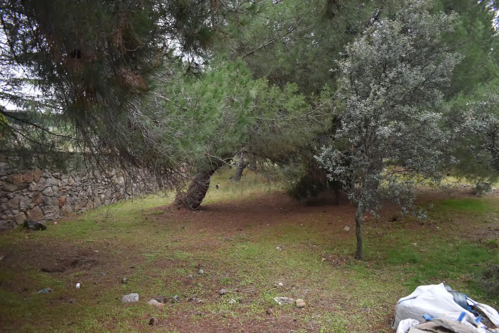 Wohnbaugrundstück zum Verkauf in Avenida Sajonia, imagen 6