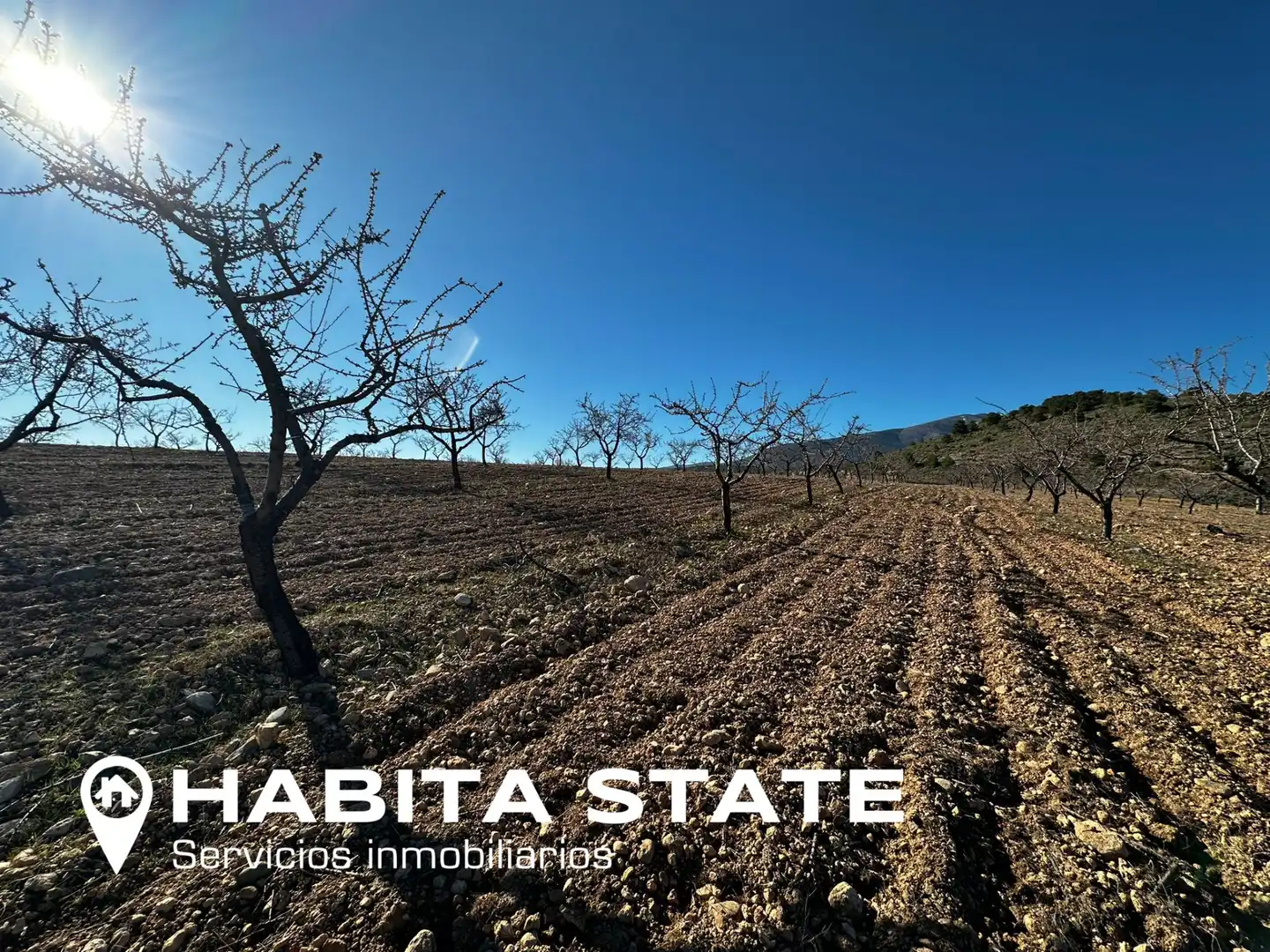 Land for sale in Baza