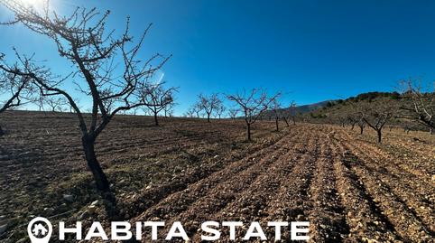 Foto 2 von Grundstücke zum Verkauf in N/a, -1, Baza, Granada