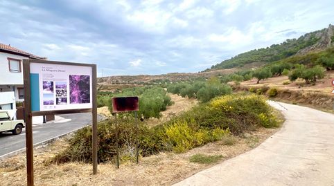 NIVAR  FINCA DE OLIVOS, immagine 3