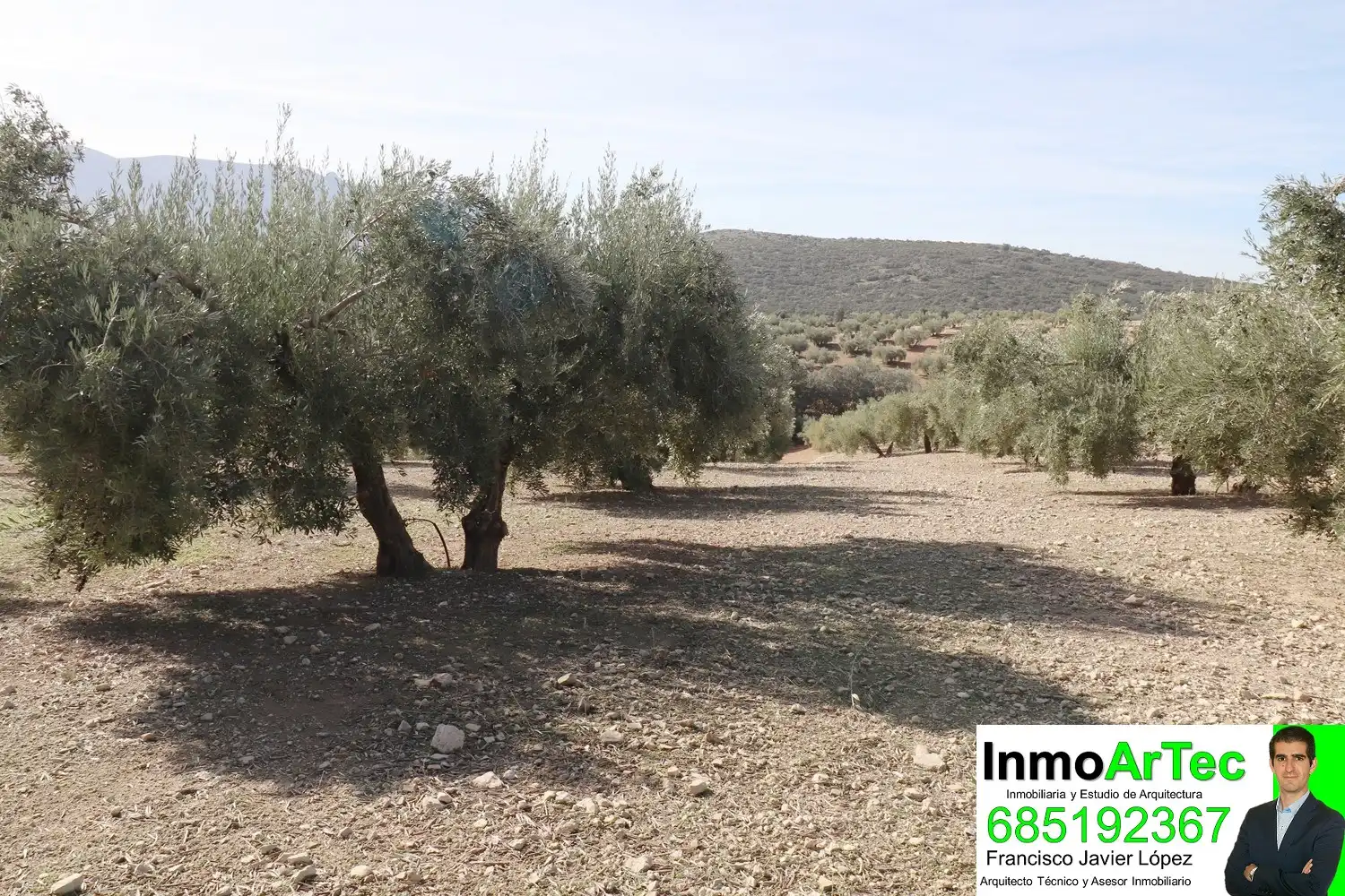 Finca rústica en venda en Iznalloz amb Jardí privat, Terrassa i Piscina